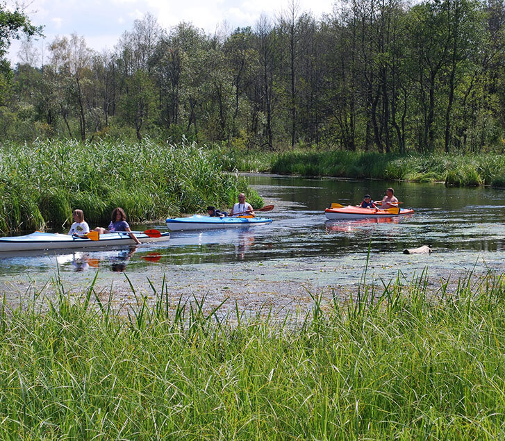                  Location de canoe kayak à Laroque dans l'Hérault   

            